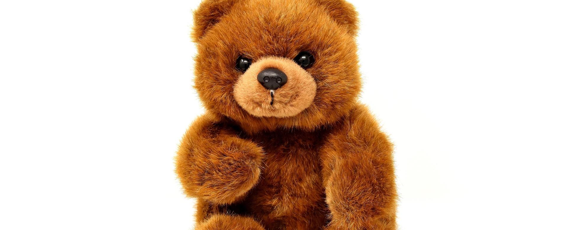 Teddy Hermann Verkaufsgeschäft -Teddy Hermann Verkaufsgeschäft teddy 3131095 1920